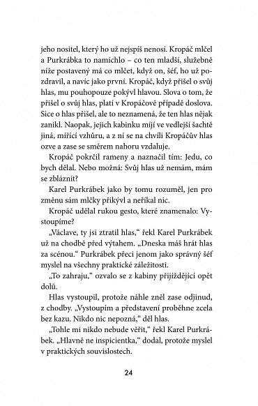 Náhled Hlas a jiné povídky