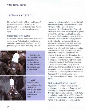 Náhled Suchozemské želvy - Svědkové pravěku v domácím teráriu