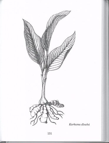 Náhled Herbář léčivých rostlin 6 - Doplněk