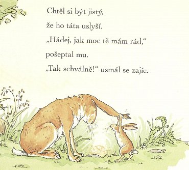 Náhled Hádej, jak moc tě mám rád!