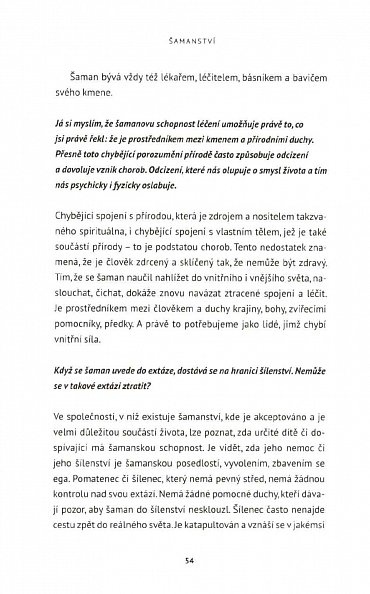 Náhled Šamanství - Kořeny naší spirituality