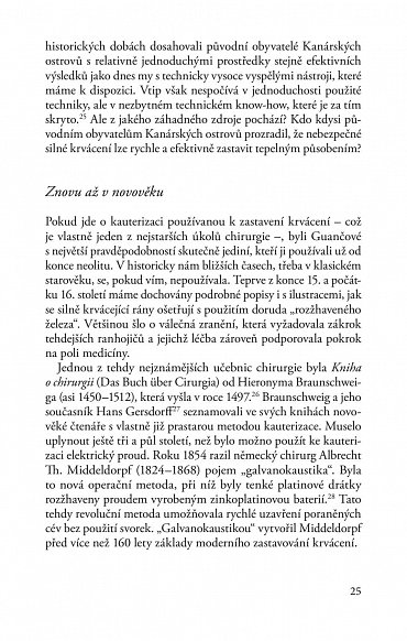 Náhled Medicína doby kamenné