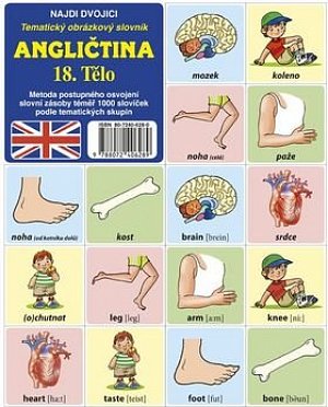 Najdi dvojici - Angličtina - 18. Tělo