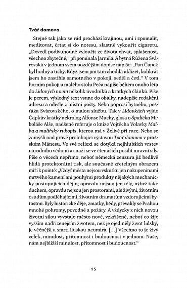 Náhled Do posledních sil - Tři dokumentární povídky z konce protektorátu