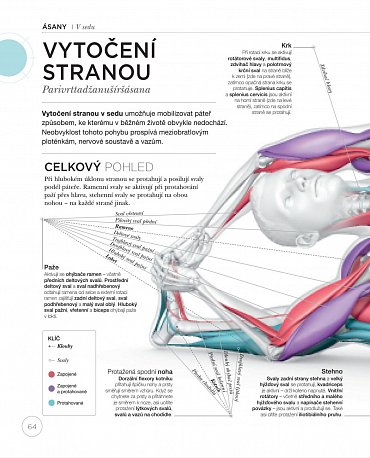 Náhled Jóga z pohledu anatomie