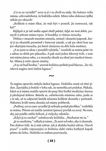 Náhled To je on! O té, co si říkala Toyen