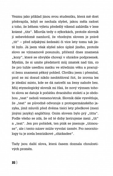 Náhled Angličtina na rovinu II