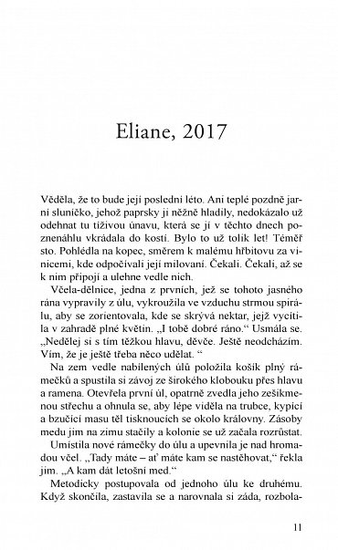 Náhled Kam včely chodí spát