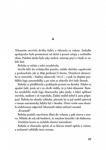 Náhled Ztracené střípky