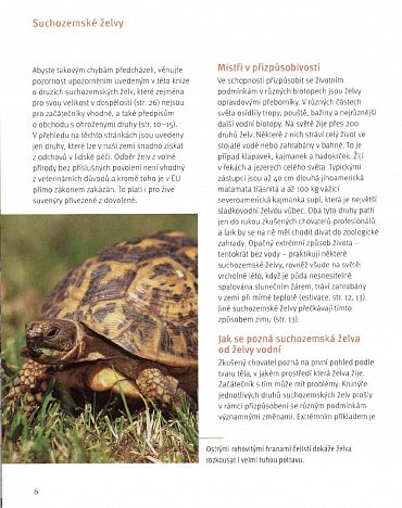 Náhled Suchozemské želvy - Svědkové pravěku v domácím teráriu