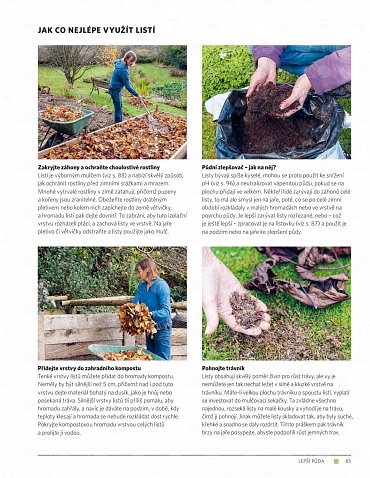 Náhled Moderní zahrada