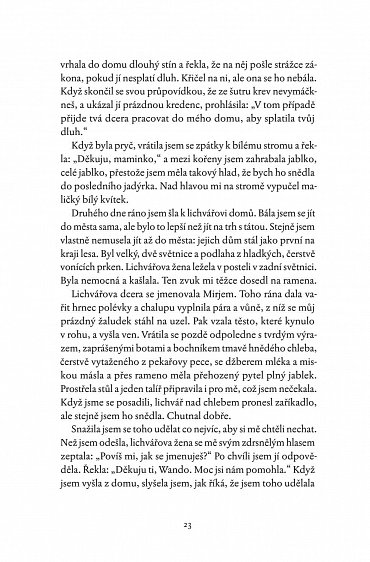 Náhled V zajetí zimy