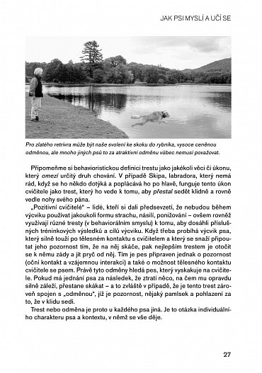 Náhled Pozitivní metody výchovy psa