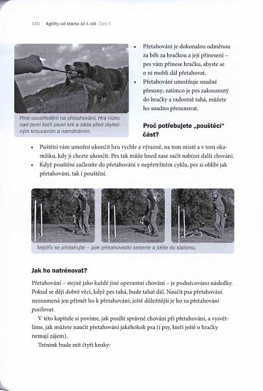 Náhled Agility - Od startu až k cíli
