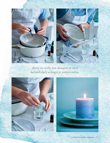 Náhled Umění přirozeného domova