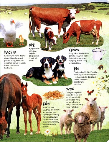 Náhled Svět zvířat, 1.  vydání