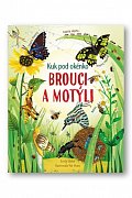 Brouci a motýli - Kuk pod okénko