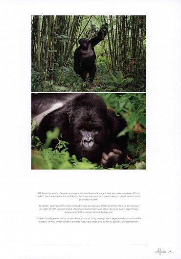 Náhled Nejkrásnější národní parky světa