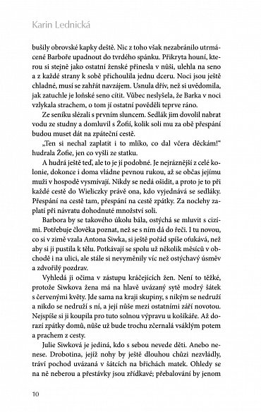 Náhled Šikmý kostel - Románová kronika ztraceného města, léta 1894-1921