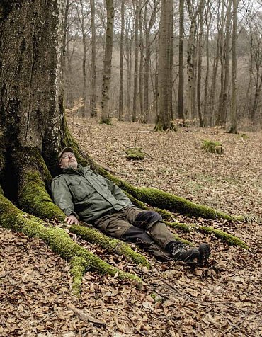 Náhled Tajný život stromů - Co cítí a jak komunikují