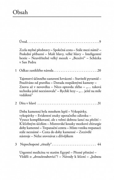 Náhled Medicína doby kamenné