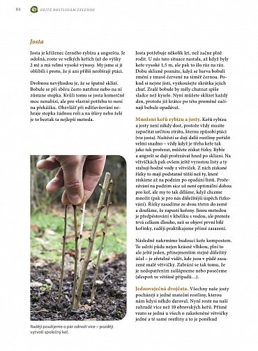 Náhled Jak se žije u Wohllebenů - Samozásobitelství v praxi