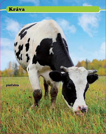 Náhled Podívej! Co je to? Život na statku