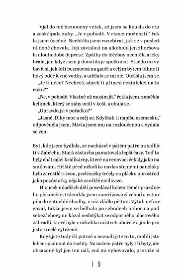 Náhled Střípky času