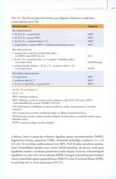 Náhled Aortální nedomykavost