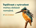 Magnet na lednici "Trpělivost a vytrvalost"