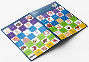 Pexeso: Přírodověda - Smysly a orgány