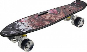 Skateboard Afrika 54,5cm