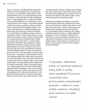 Náhled Tajný život stromů - Co cítí a jak komunikují