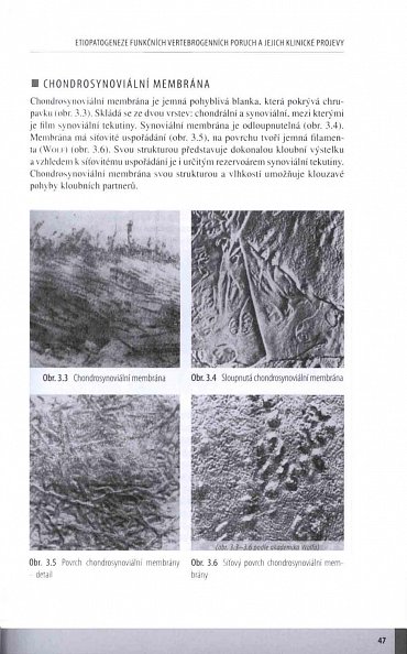 Náhled Manuální medicína