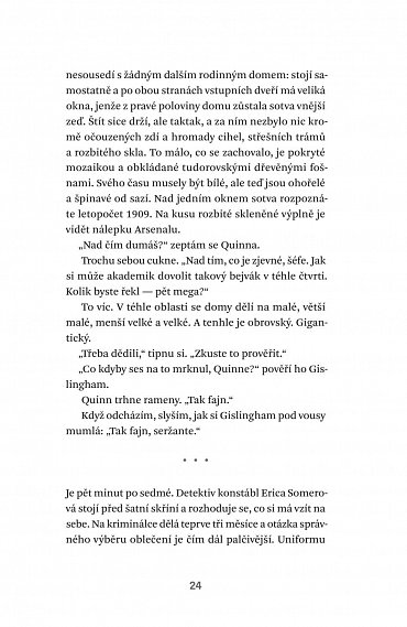 Náhled Není úniku