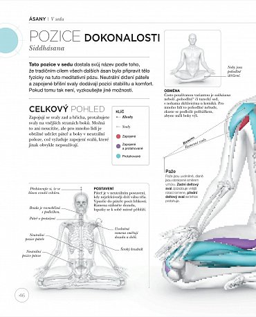 Náhled Jóga z pohledu anatomie