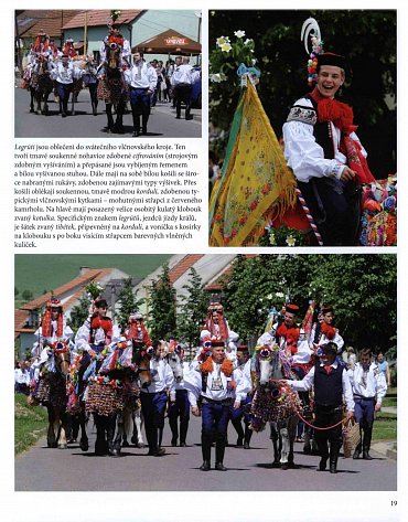 Náhled Koně pro krále