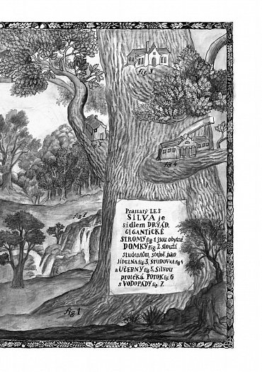 Náhled Rafaelova škola 5 - Vlasy dryád