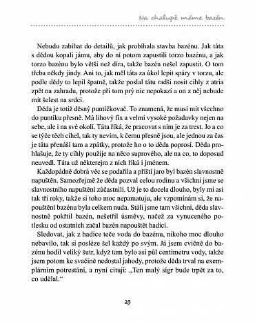 Náhled Na chalupě s moderním fotrem