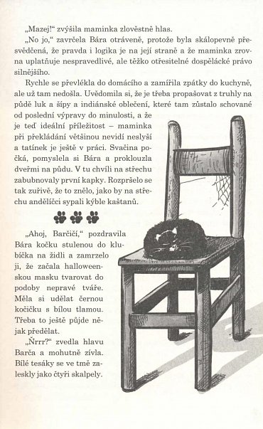 Náhled Japonsko - Gejša a samuraj