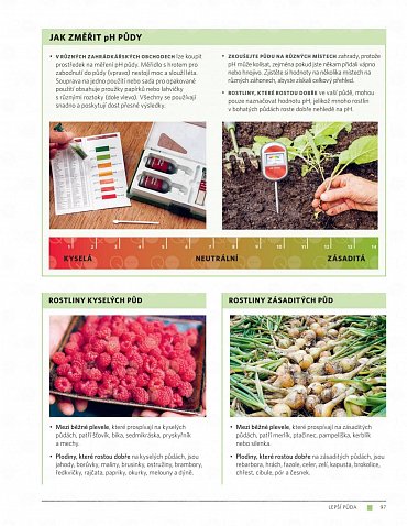 Náhled Moderní zahrada