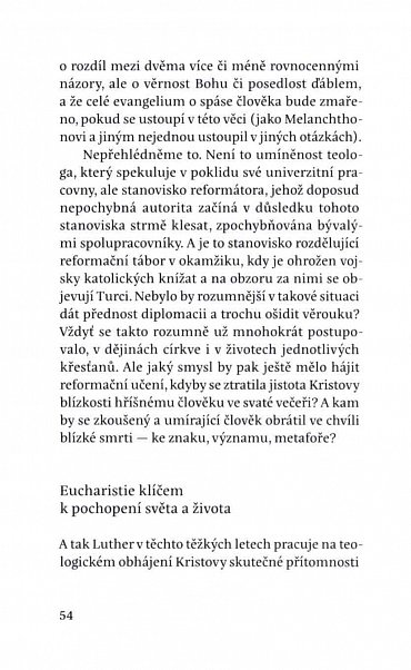 Náhled Luther - finále středověké zbožnosti