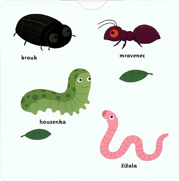 Náhled MiniPEDIE Objevujeme svět! Louka