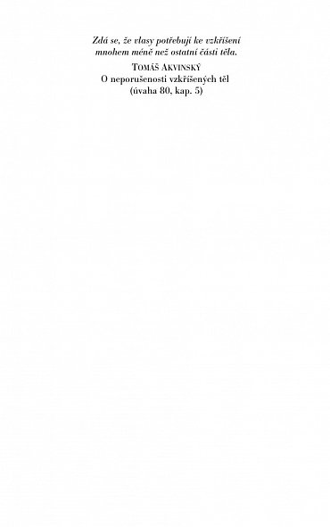 Náhled O lásce a jiných běsech