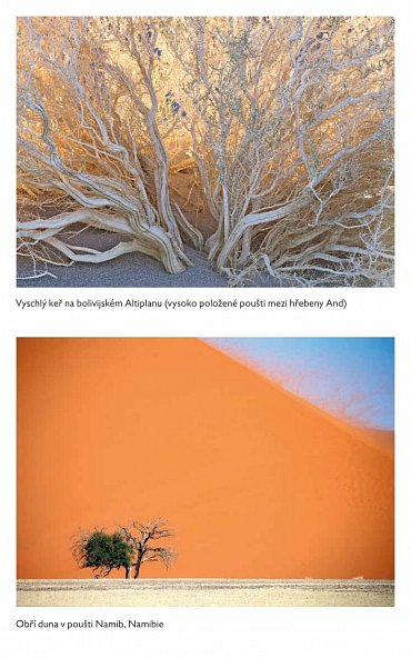 Náhled Podstata pouště: Kde se v poušti bere písek a proč duny zpívají - objevování fascinujícího světa