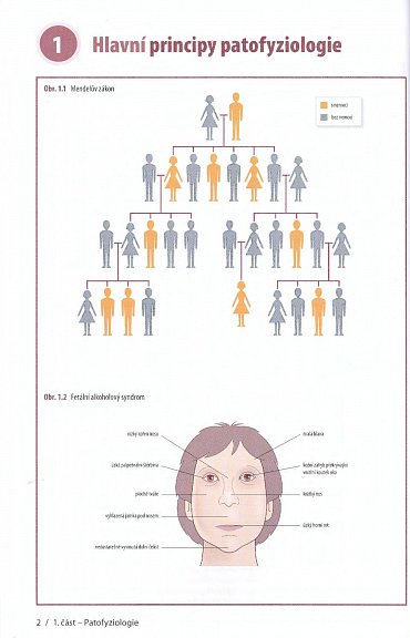 Náhled Patofyziologie pro zdravotnické obory