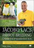 Parrot breeding unter the Panamanian Sun