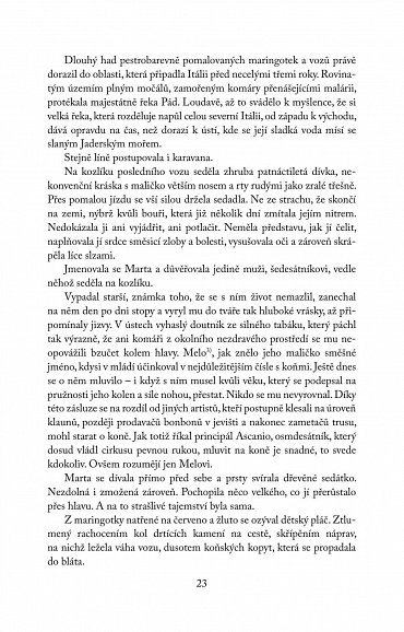 Náhled Všechny touhy vedou do Říma