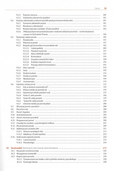Náhled Moderní porodnictví