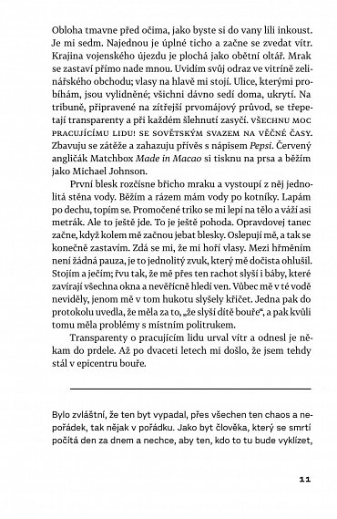 Náhled Sentimentální román